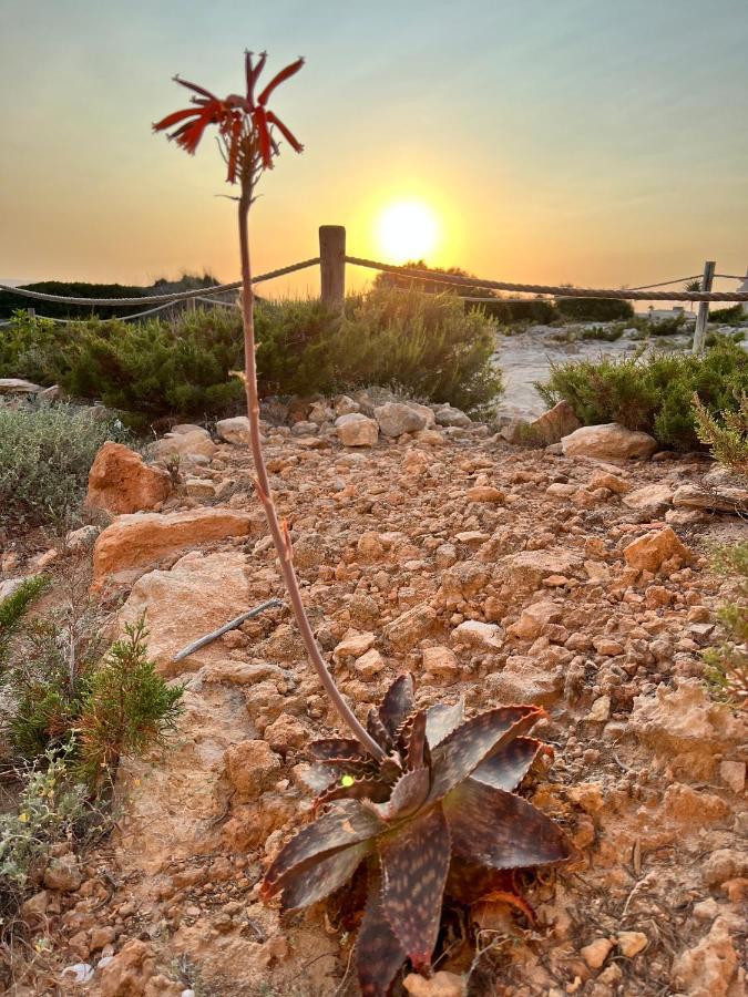 Es ArenalsArenas Del Mar Formentera别墅 外观 照片